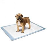 Flamingo Puppytrainingsdoekjes 60 x 40 cm