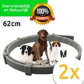 2x Vlooienband Hond - Alle Honden - Diervriendelijk - Gratis Hondentandenborstel - Anti Vlooien Halsband - Bestrijding - 8 maanden bescherming - Beste Kwaliteit - Grijs - 62cm