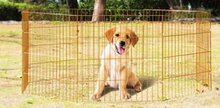 Dog Play Pen hondenren 8 panelen van 60 x 60 cm