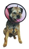 Smart collar - nekkraag