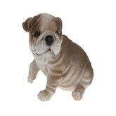 Bulldog beeldje zittend 13,5 cm type 3
