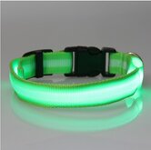 hondenhalsband led verlichting medium Groen