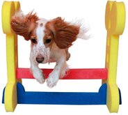 Dog Agility Hondentraining - Horde