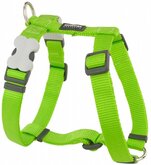 Red Dingo Hondentuig 15mm Neck 30-48cm Body 36-54cm DH-ZZ-LG-15