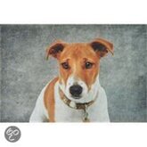 Mars & More Mat binnenmat grijs hond jack russell