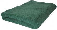 Vetbed Groen Effen Latex Anti-Slip 150x100cm
