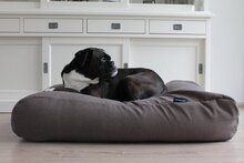 Dog's Companion hondenkussen meubelstof - XS - 55 x 45 cm - Taupe