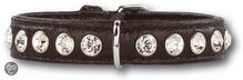 Doxtasy Halsband Hondenhalsband Swarovski Extreme Black 22 cm x 15 mm