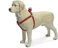 Beeztees - Borsttuig Hond - MacLeather - Rood - S - 35-60 cm
