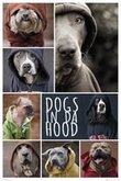 REINDERS Honden Hoodies - Poster - 61x91,5cm