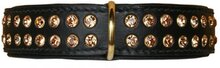 Hondenhalsband Swarovski Strass Extreme Black - Gold 60 cm