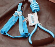 Touchdog Tuig met Lijn - Hond - Tuig - 25 mm - Blauw