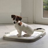 Savic Puppy Trainer Startpakket - Extra Large, incl. 7 pads