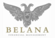 Logo BELANA Financial Management