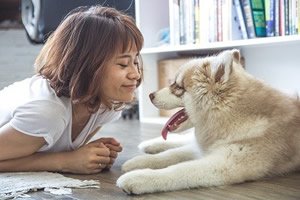 Acederm hond.jpg
